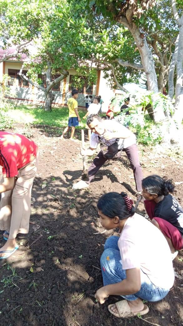 Kegiatan Pembersihan Kebun